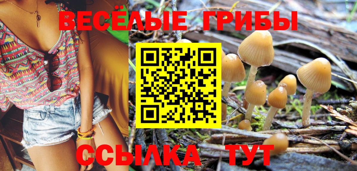 Унеча  Псилоцибиновые грибы ЛСД  Псилоцибиновые грибы ЛСД  Вход с VPN 