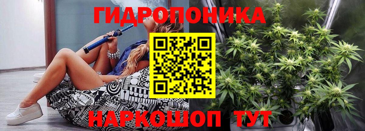 Унеча  Шишки марихуана Bruce Banner  Вход с VPN  Канабис марихуана  Канабис THC 21% 